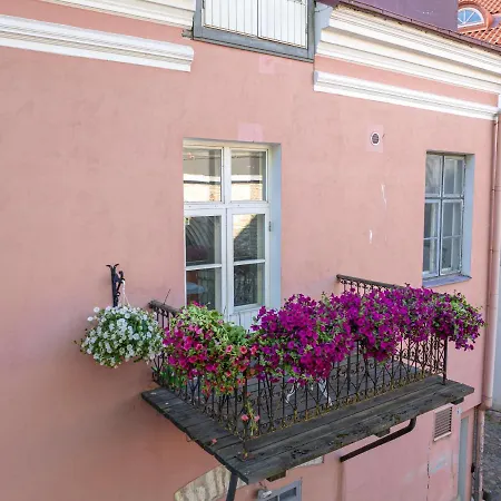 Old Town - Vene